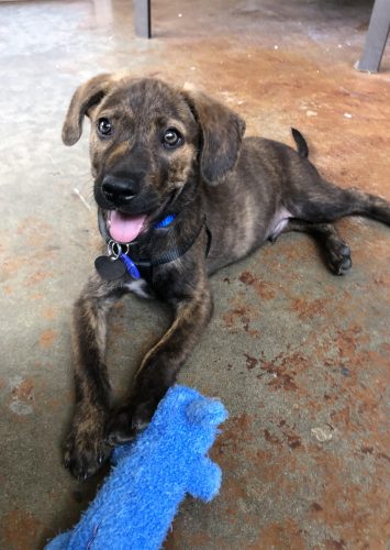 Welcome to the Family, Leo!